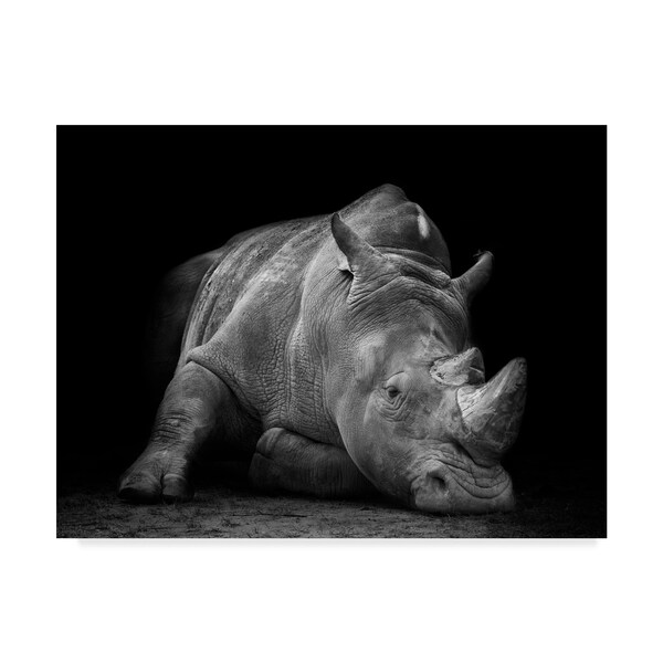 Trademark Fine Art Fegari 'Defeated Rhino' Canvas Art, 18x24